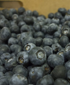 ARÁNDANOS AGROECOLÓGICOS CLAMPSHEL x 125 g