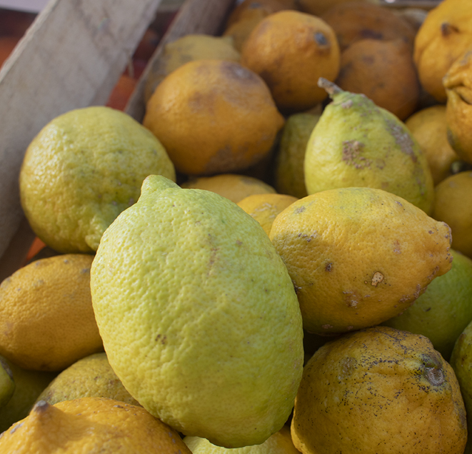 LIMÓN AGROECOLÓGICO x 1 Kg