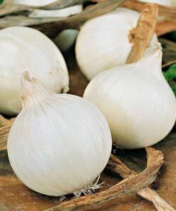 CEBOLLA BLANCA AGROECOLÓGICA x 1 Kg