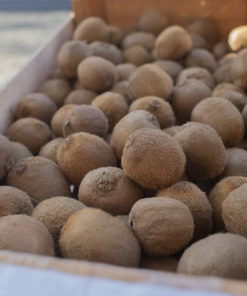 KIWI AGROECOLÓGICO x 1/2Kg
