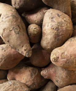 BATATA MORADA AGROECOLÓGICO x 2 Kg