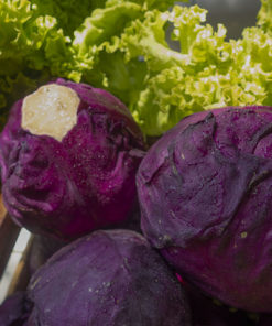 REPOLLO COLORADO AGROECOLÓGICO x 1 Kg