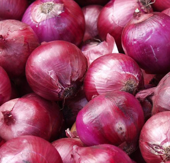 CEBOLLA MORADA AGROECOLÓGICA x 1 Kg