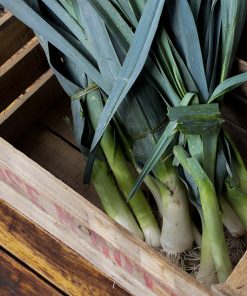 PUERRO AGROECOLÓGICO x ATADO