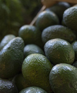 PALTA SILVESTRE AGROECOLÓGICA X 750g