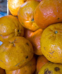 MANDARINA AGROECOLOGICO x 1 Kg