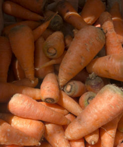 ZANAHORIA x 1 Kg