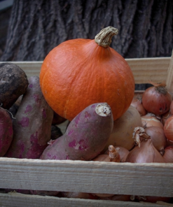 BOLSÓN DE PESADAS AGROECOLÓGICAS x 3 Kg -  Variedades