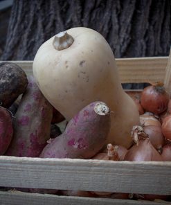 BOLSÓN DE PESADAS AGROECOLÓGICAS x 3 Kg - 3 Variedades