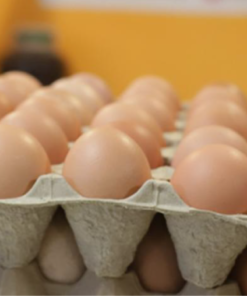 HUEVOS DE CAMPO x DOCENA - Imagen 2