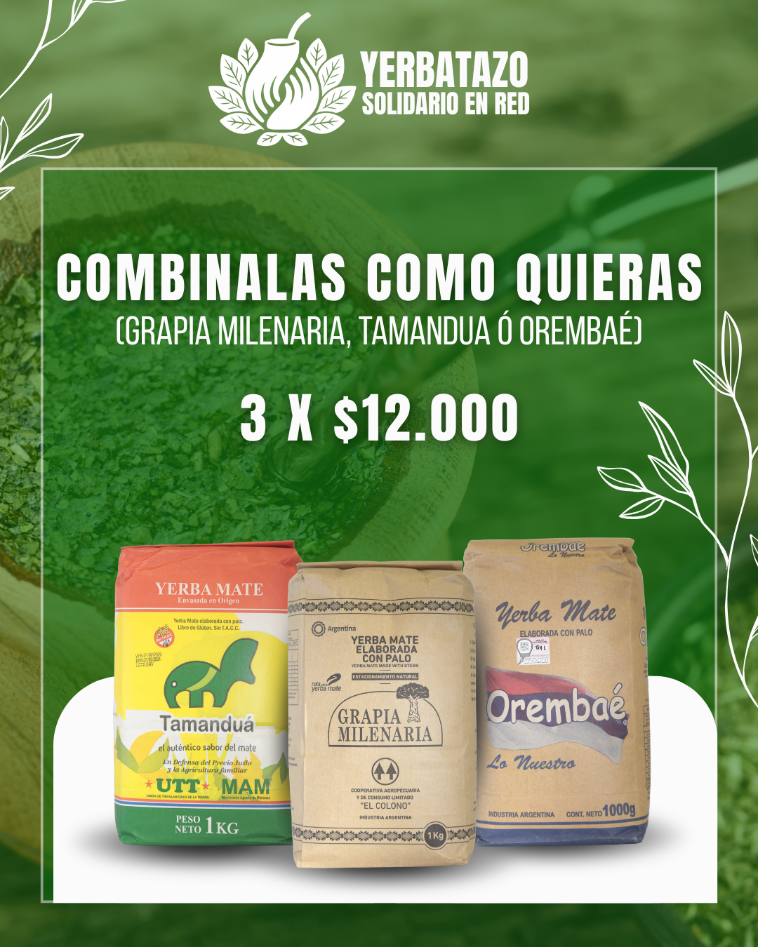 Yerbatazo 3 x $12000